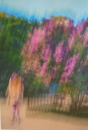 4 melisa teo jardin des plantes