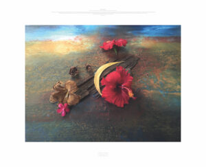 Prints