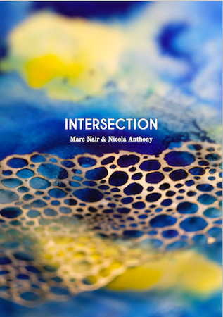 intersection book cover h450px 1 orig