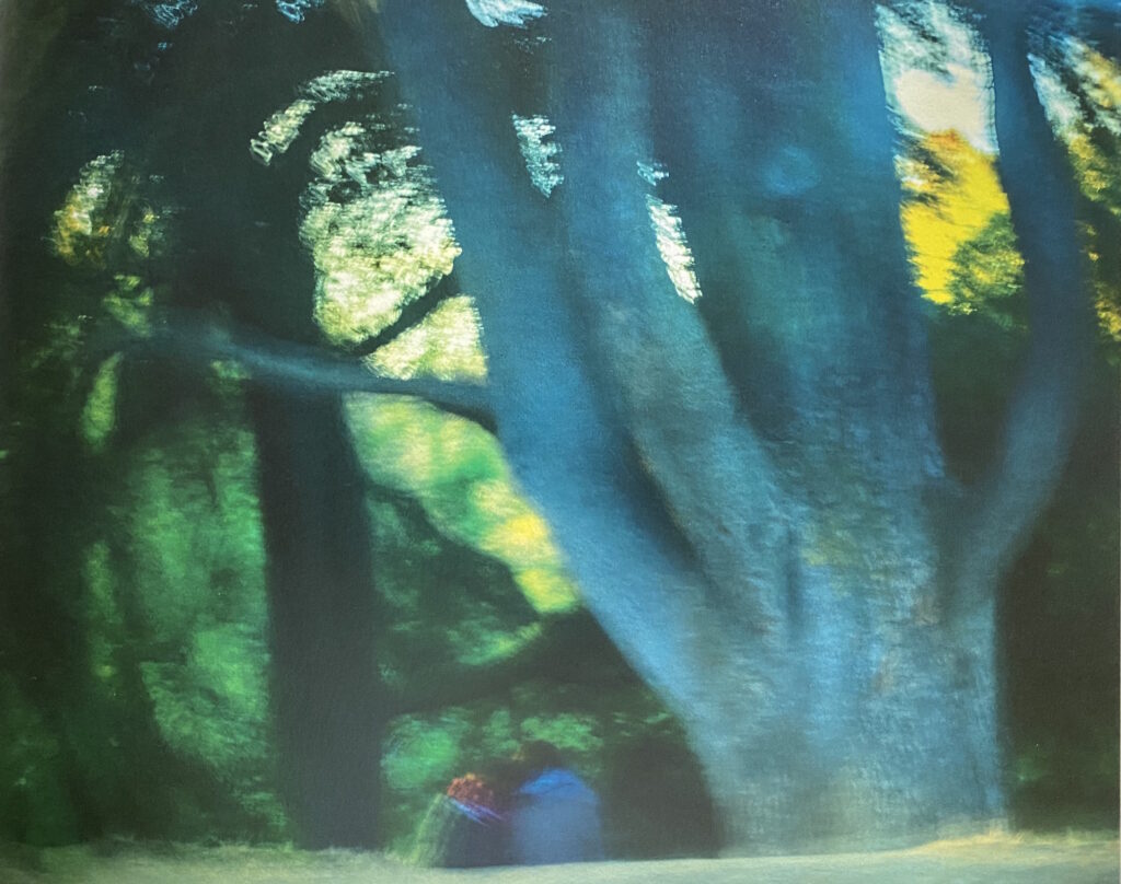 1.Melisa Teo Melisa Teo Parc des Buttes Chaumont Archival Digital Prints on Awagami on Kozo Thin White Paper ed of 5 + 1 artist proof 66.7 x 100cm 2018.4