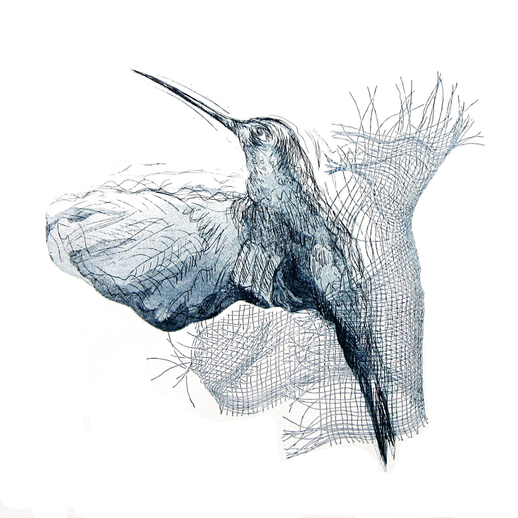 4. Flight Etching, Aquatint, Relief on Paper 30cm x 30cm 2010 KReedy