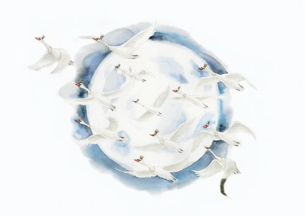 Cassy Oliphant Twelve Swans, Giclee print, 29.7 x 42 cm
