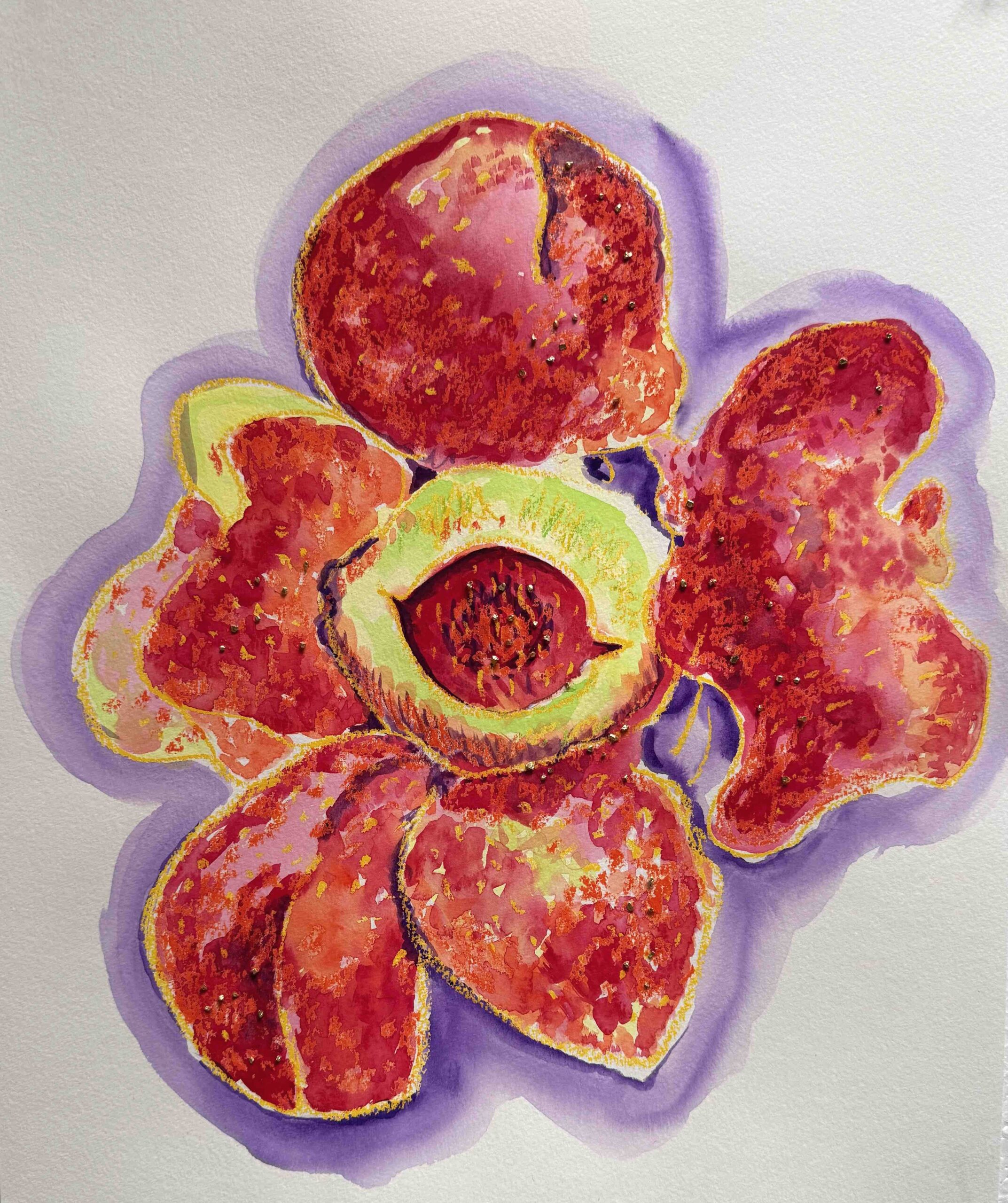 Rafflesia Kerubut Mixed Media on Paper 50cm x 40cm 2026 Kelly Reedy