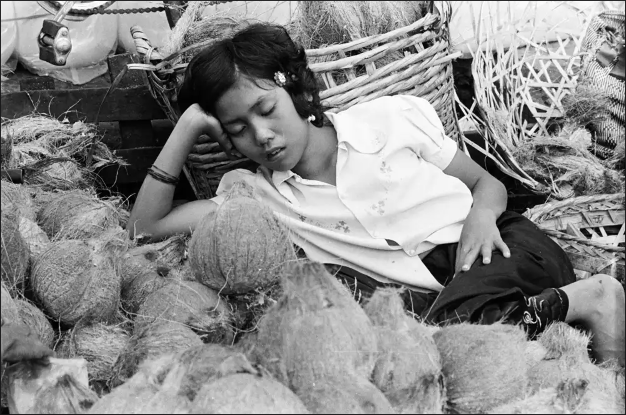 Gilbert Bertrand's Napping on Coconuts